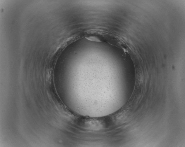 X0000088580759200706081122