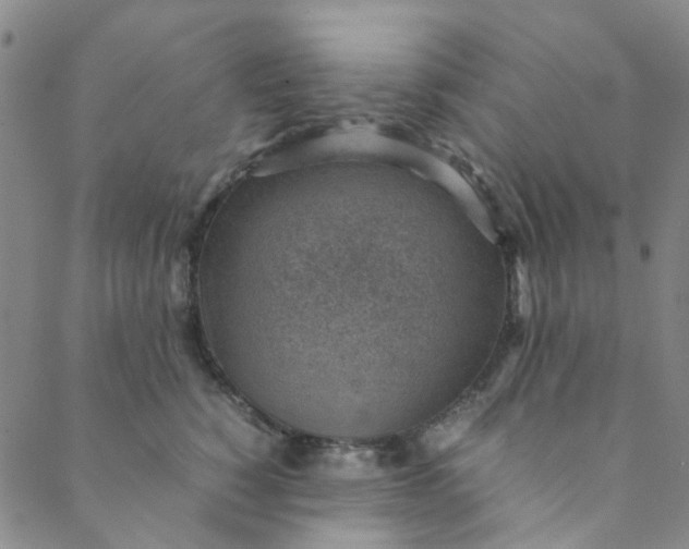 X0000088580760200706081122