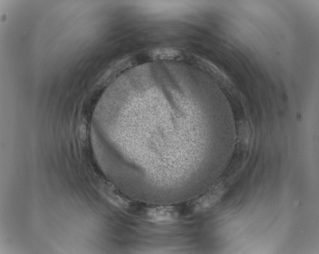 X0000088580761200706081122