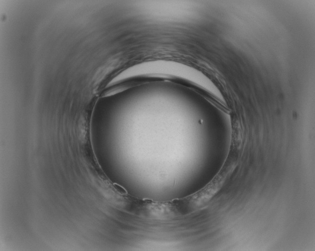 X0000088580762200706081122