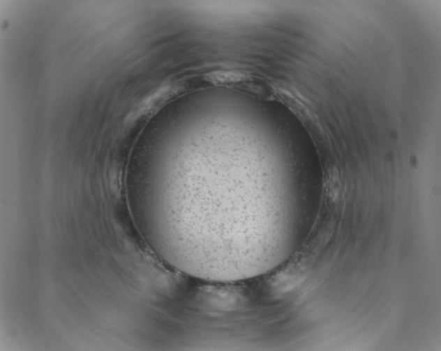 X0000088580763200706081122