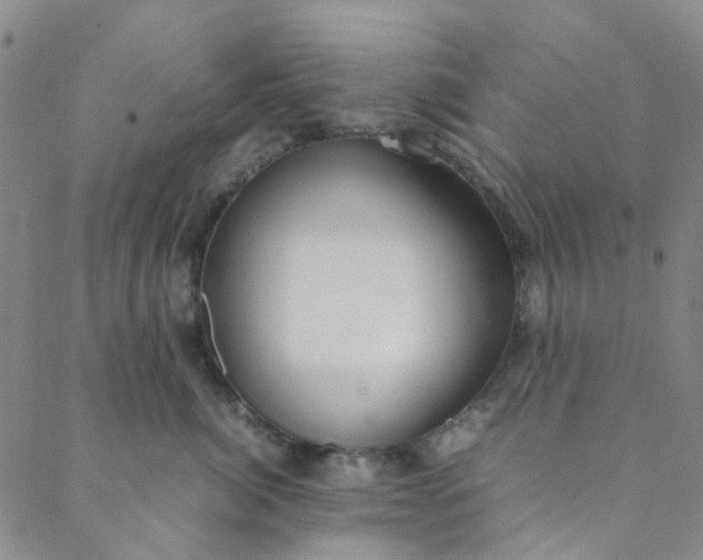 X0000088580764200706081122