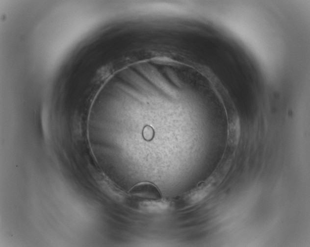 X0000088580765200706081122