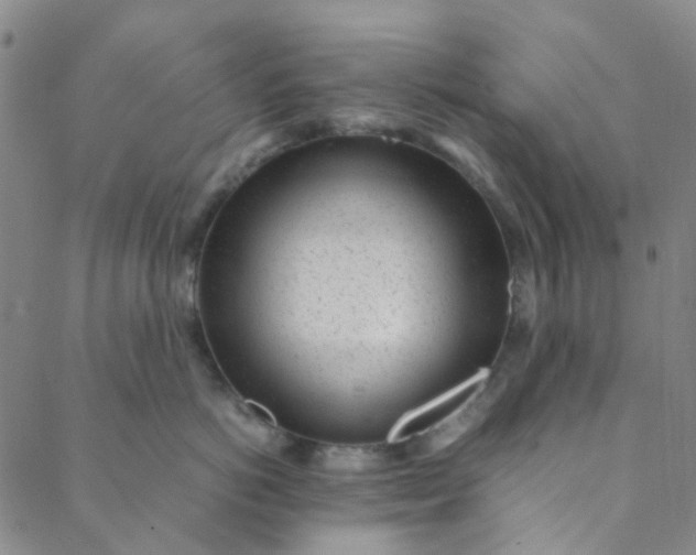 X0000088580766200706081122