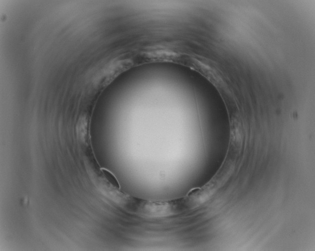 X0000088580767200706081122