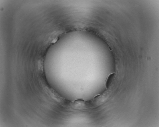 X0000088580768200706081122