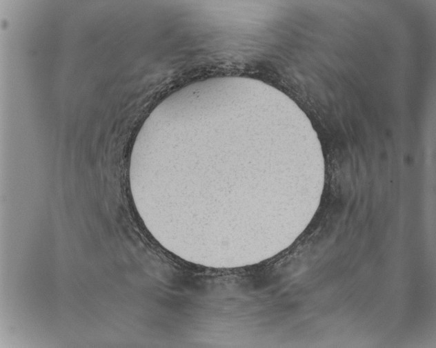 X0000088580769200706081122