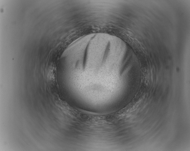 X0000088580770200706081122