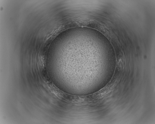 X0000088580772200706081122