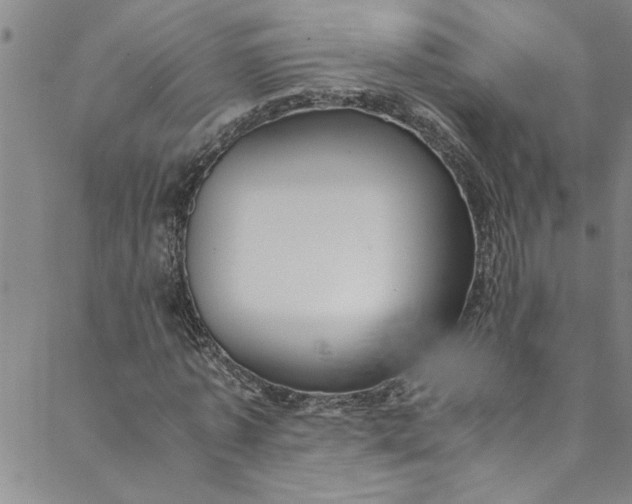 X0000088580773200706081122