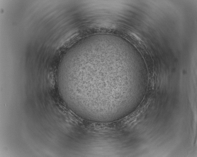 X0000088580774200706081122