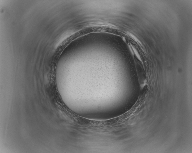 X0000088580775200706081122