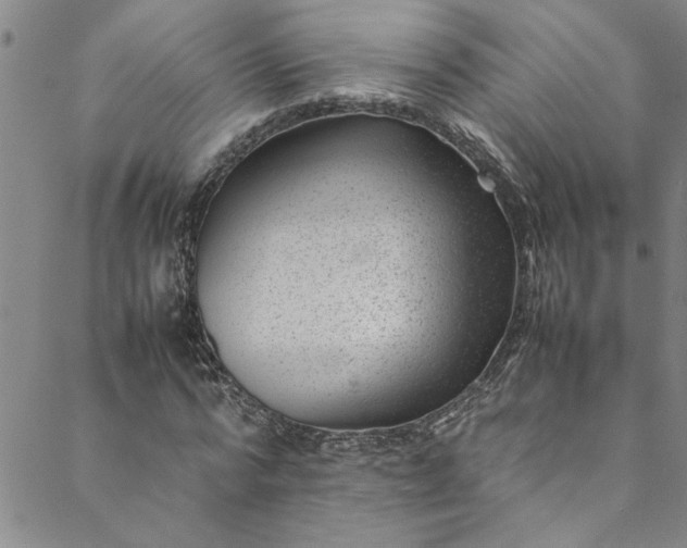 X0000088580776200706081122