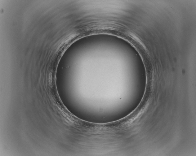 X0000088580777200706081122