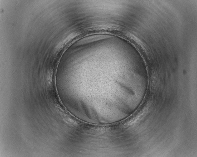 X0000088580778200706081122