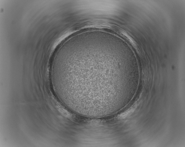 X0000088580779200706081122