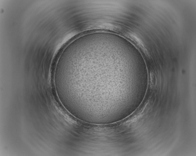 X0000088580780200706081122