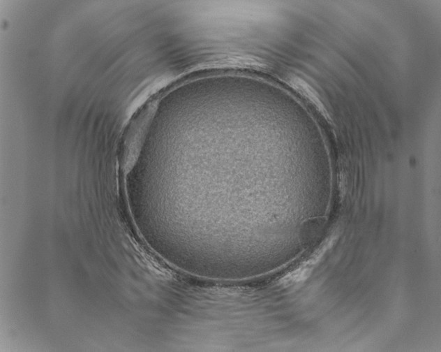 X0000088580781200706081122