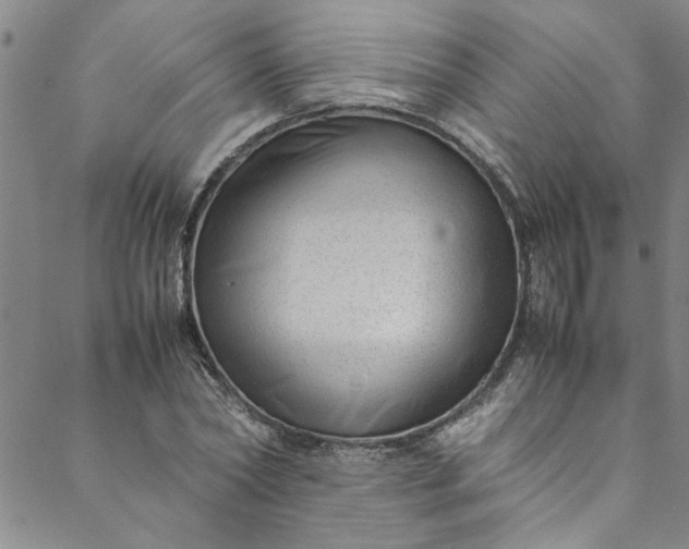 X0000088580782200706081122