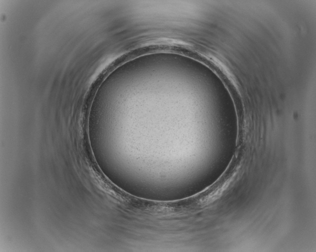 X0000088580783200706081121