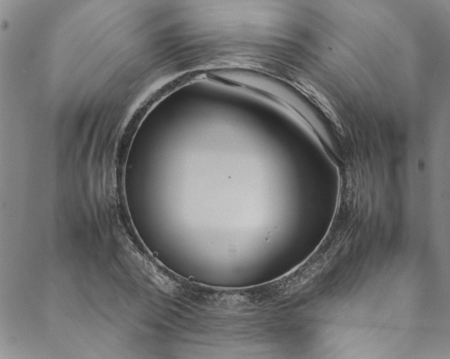 X0000088580784200706081121