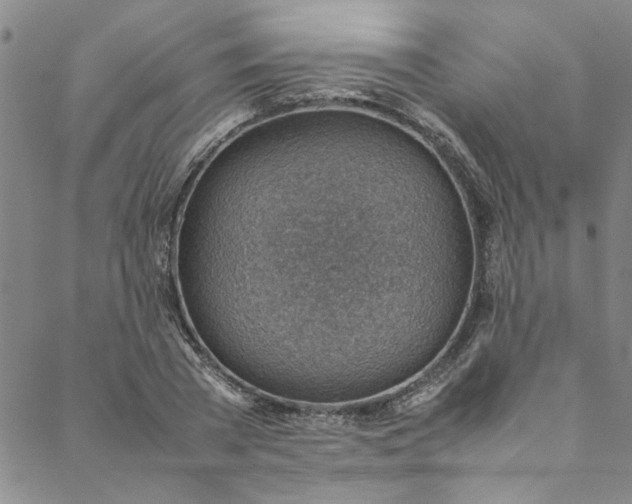 X0000088580785200706081121