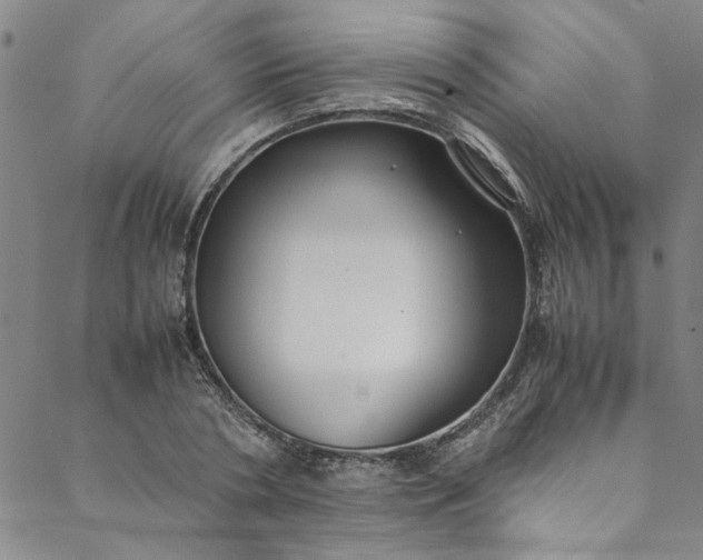 X0000088580786200706081121