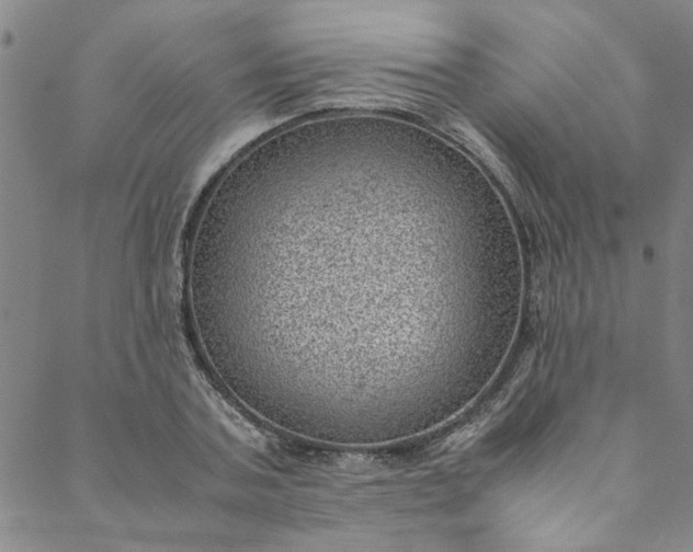 X0000088580787200706081121