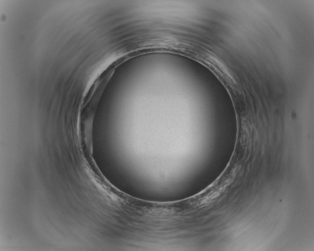 X0000088580788200706081121