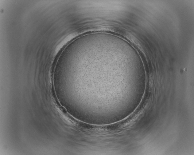 X0000088580789200706081121