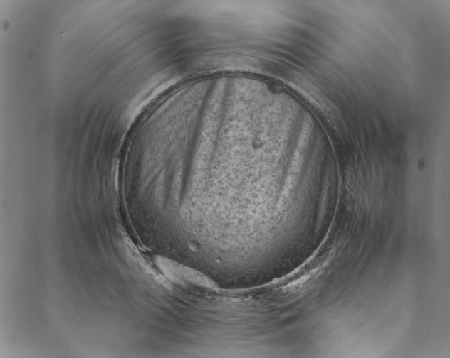 X0000088580790200706081121