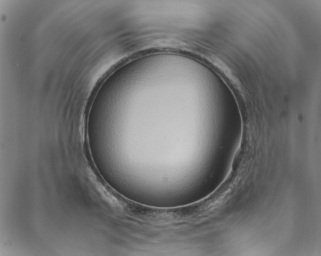 X0000088580791200706081121