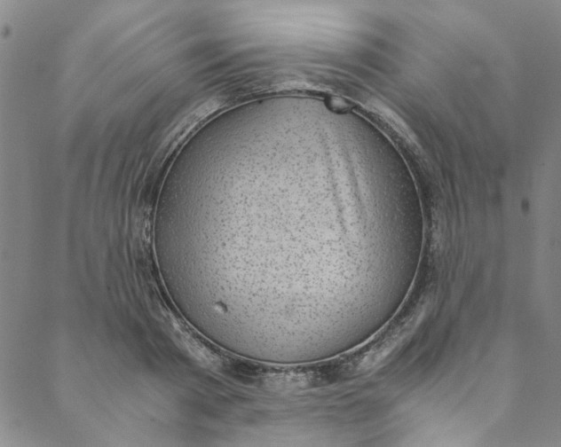 X0000088580793200706081121