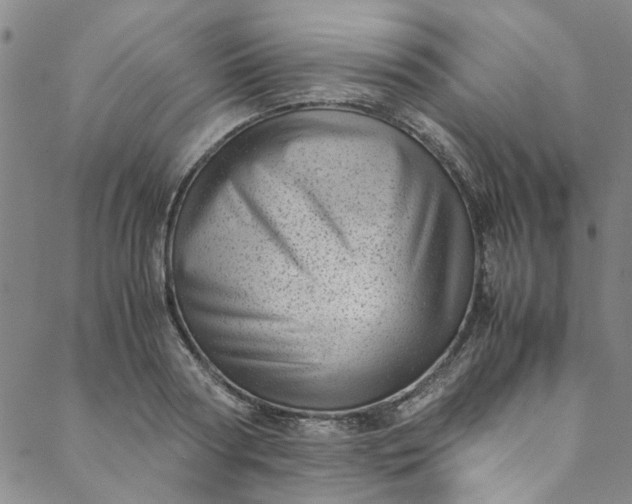 X0000088580794200706081121