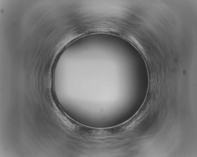 X0000088580795200706081121