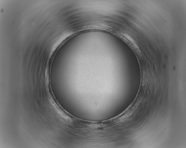 X0000088580796200706081121