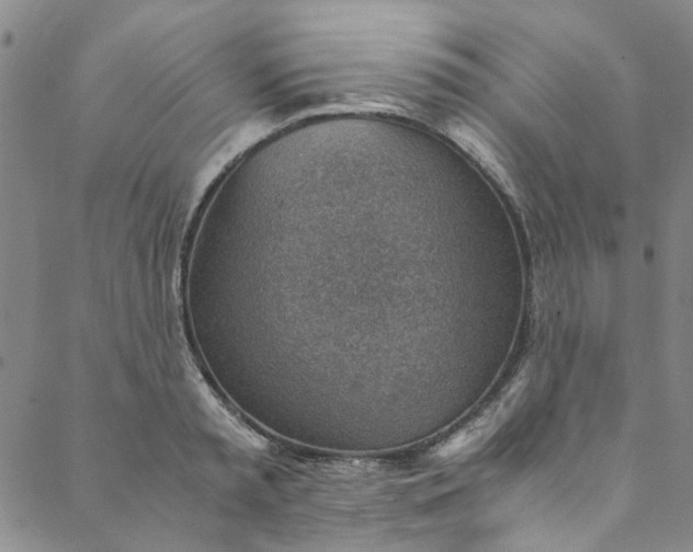 X0000088580797200706081121