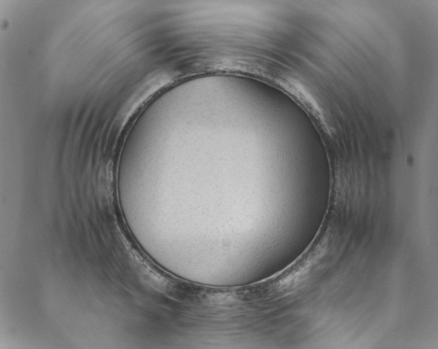 X0000088580798200706081121