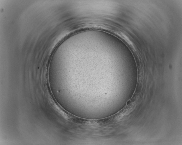 X0000088580799200706081121