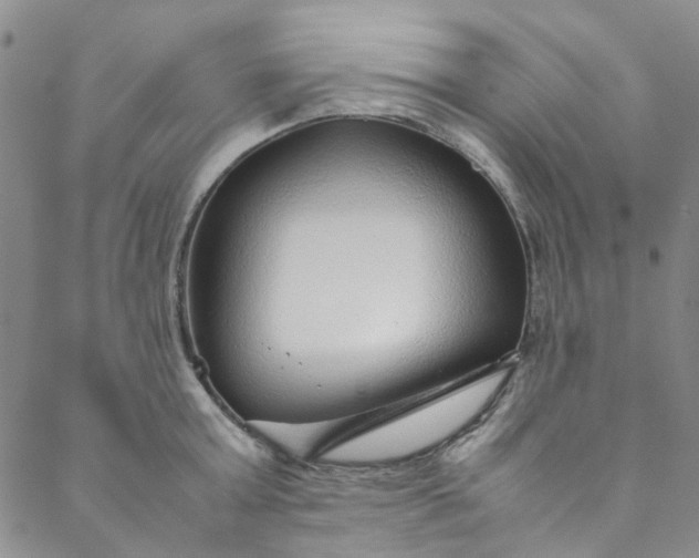 X0000088580803200706081121