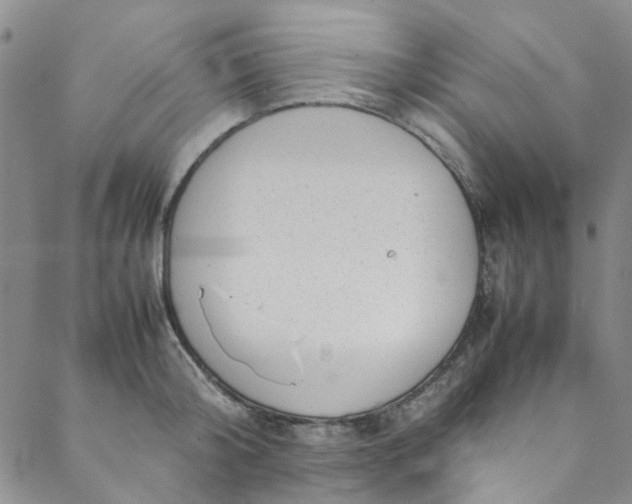 X0000088580804200706081121