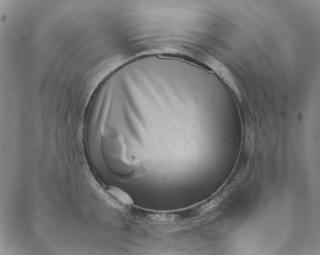 X0000088580805200706081121