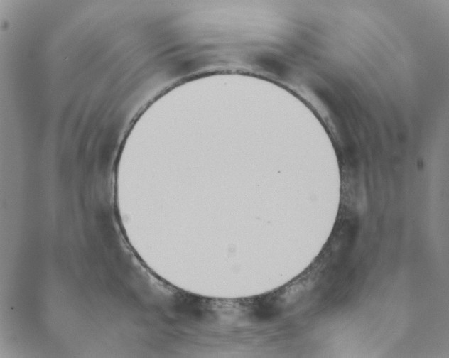 X0000088580807200706081121