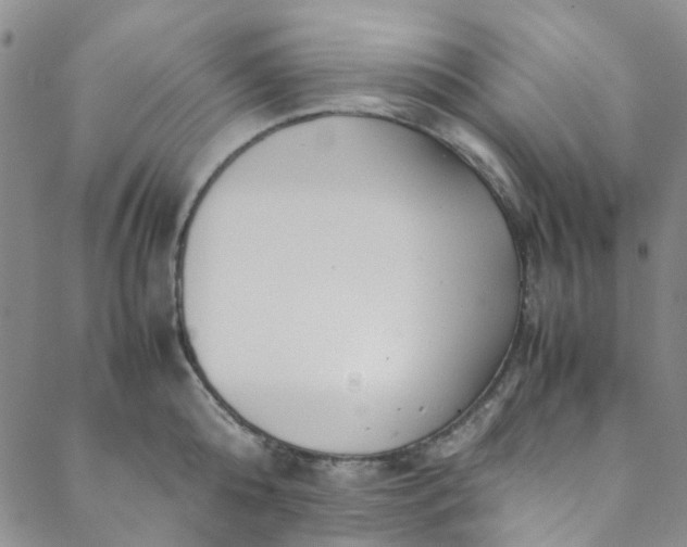 X0000088580808200706081121