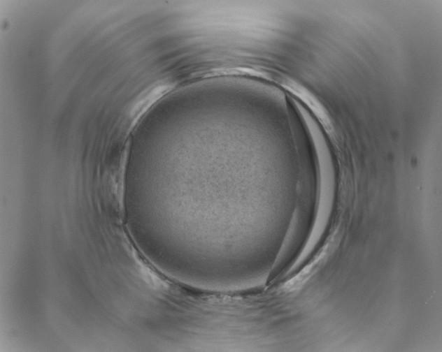 X0000088580809200706081121