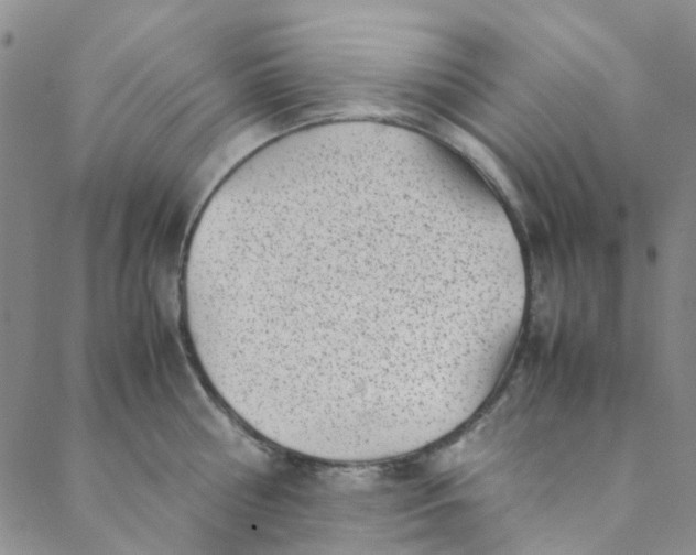 X0000088580810200706081121