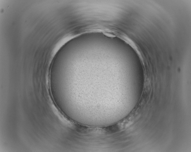 X0000088580811200706081121