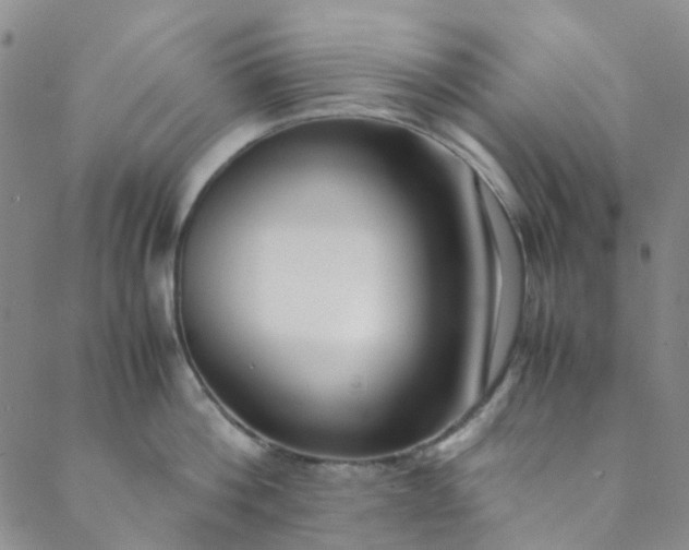 X0000088580812200706081121