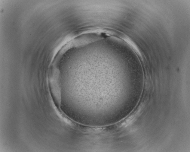 X0000088580813200706081121