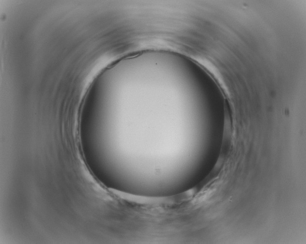 X0000088580815200706081121